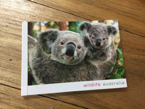 Koala Notepad