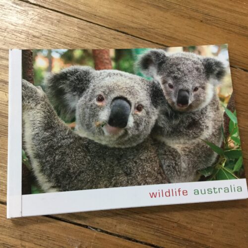 Koala Notepad