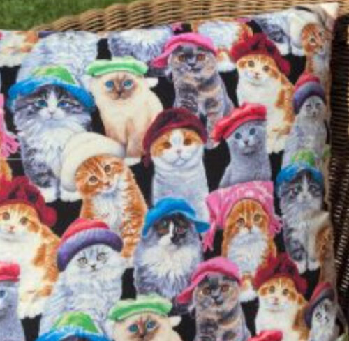 Cat cushion
