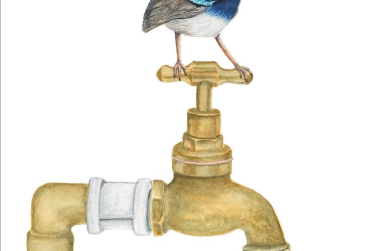 The Tap dancer