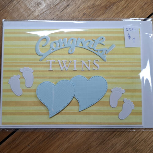twin babies card
