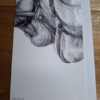 pencil drawn horses heads on card