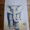 drawn elephant on card