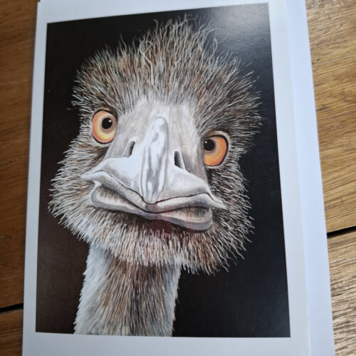 emu head drawn art on card