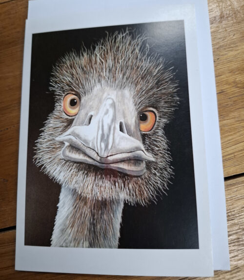 emu head drawn art on card