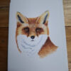 drawn fox head on card