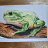 drawn frog on branch on card
