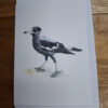 magpie drawn on card